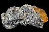 Sphalerite and Calcite - Elmwood Mine, Tennessee #89963-3